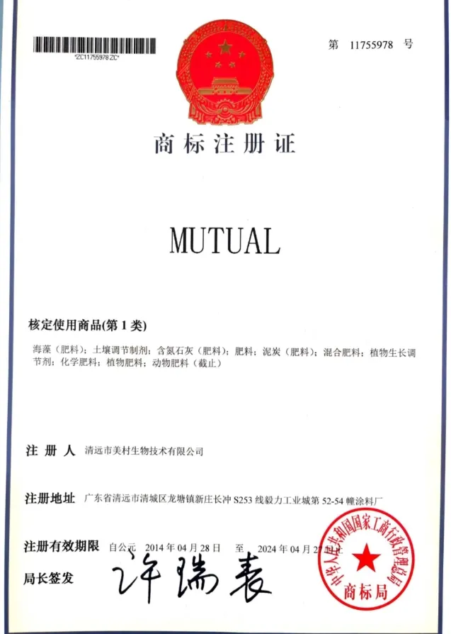 MUTUAL Trademark Certificate