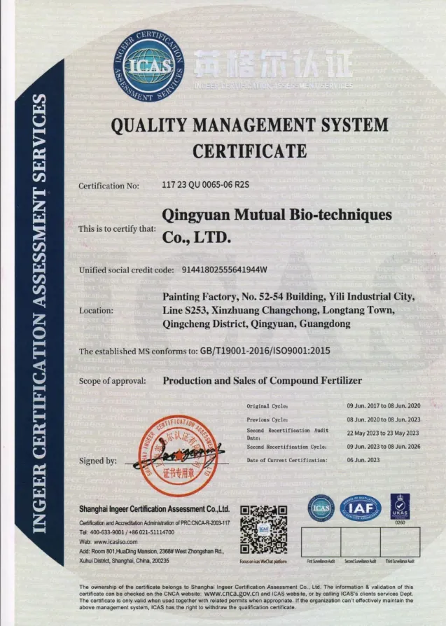 Quality Management System