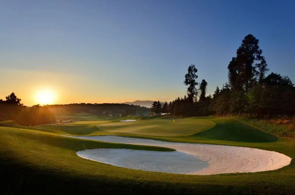 Golf championship fairway turf | Fairway maintenance effect of Mutual fertilizers